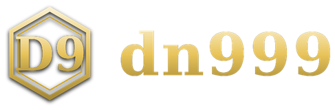 dn999 logo